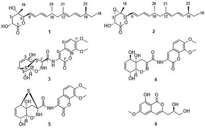 Antifungal Nafuredin and Epithiodiketopiperazine Derivatives From the Mangrove-Derived Fungus Trichoderma harzianum D13